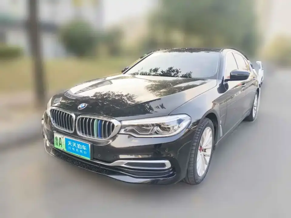 BMW 5 Series New Energy Facelift 530Le Luxury Package 2019