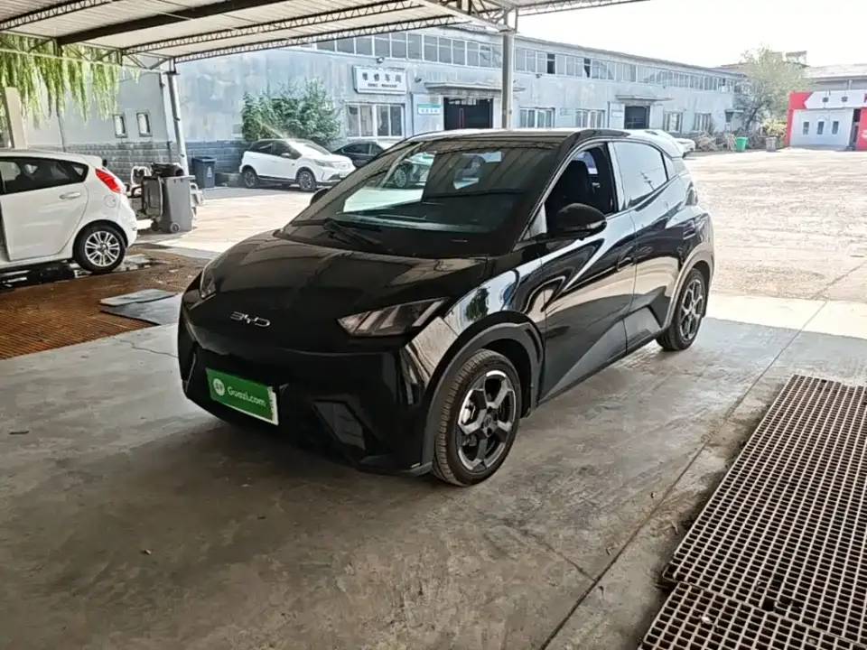 BYD Seagull Flying Edition 2023