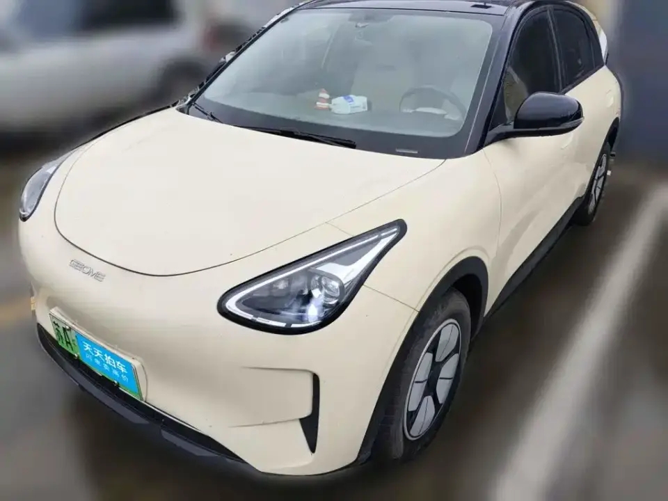Geely Galaxy Starry Wish 310km Youth Edition 2025