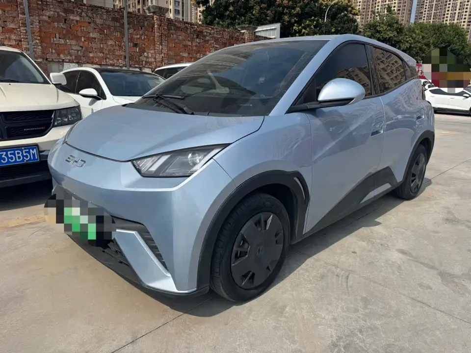 BYD Seagull Glory Edition 305km Vitality Edition 2024
