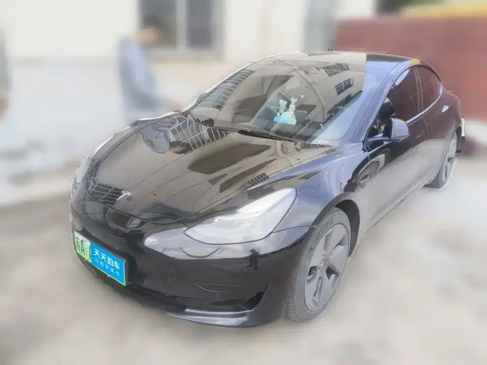 Tesla Model 3 Model Rear-Wheel Drive Version 2022