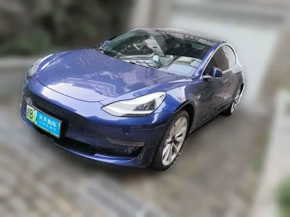 Tesla Model 3 (Import) Long Range RWD Version 2019