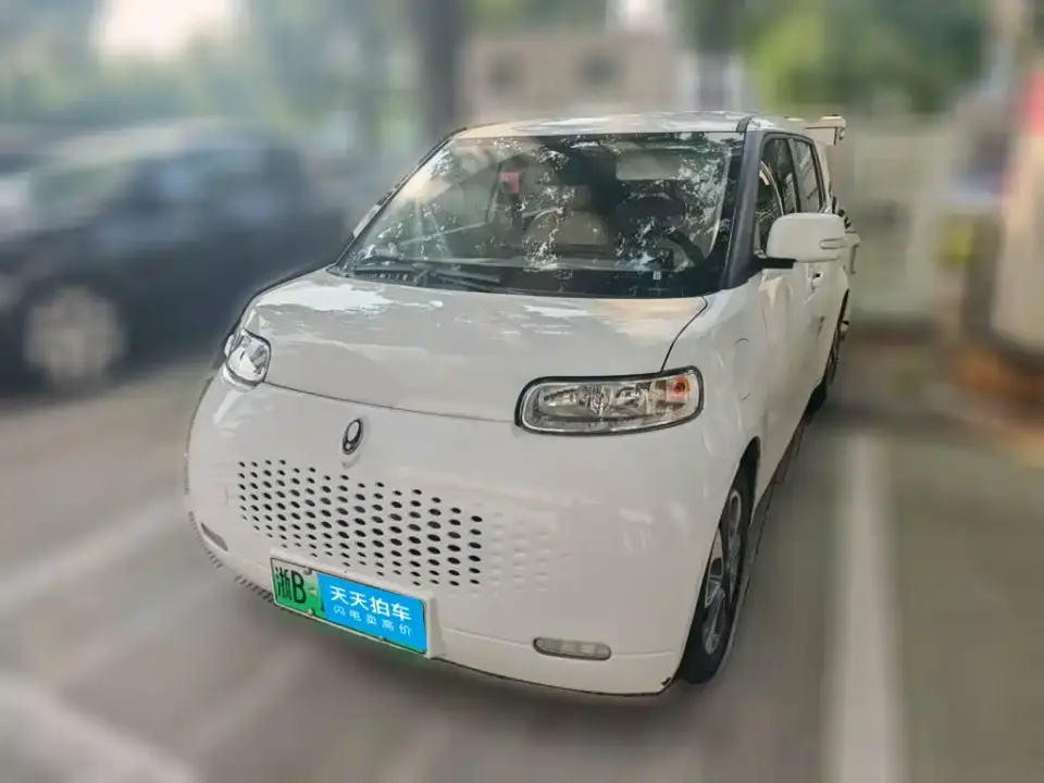 ORA White Cat Upgraded 305km Luxury Edition LFP 2022