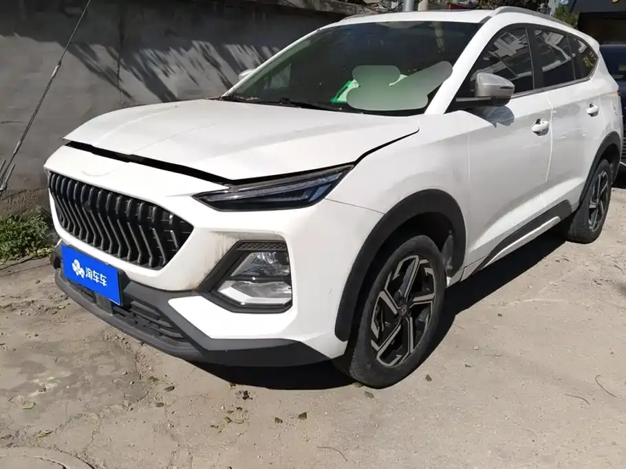 Sehol X8 300T Manual Luxury Smart Connect Edition 5-seater 2021