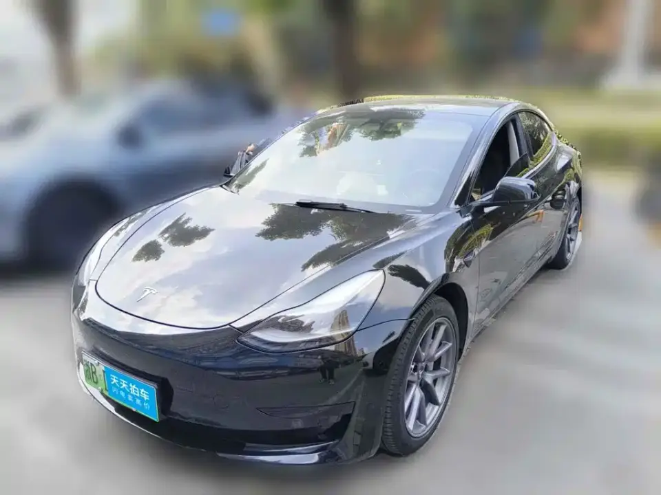 Tesla Model 3 Facelift Standard Range RWD Upgrade 3D1 2021