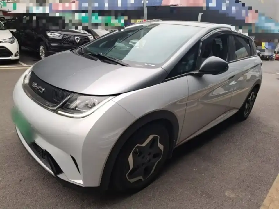 BYD Dolphin Model 405km Fashion Edition 2022