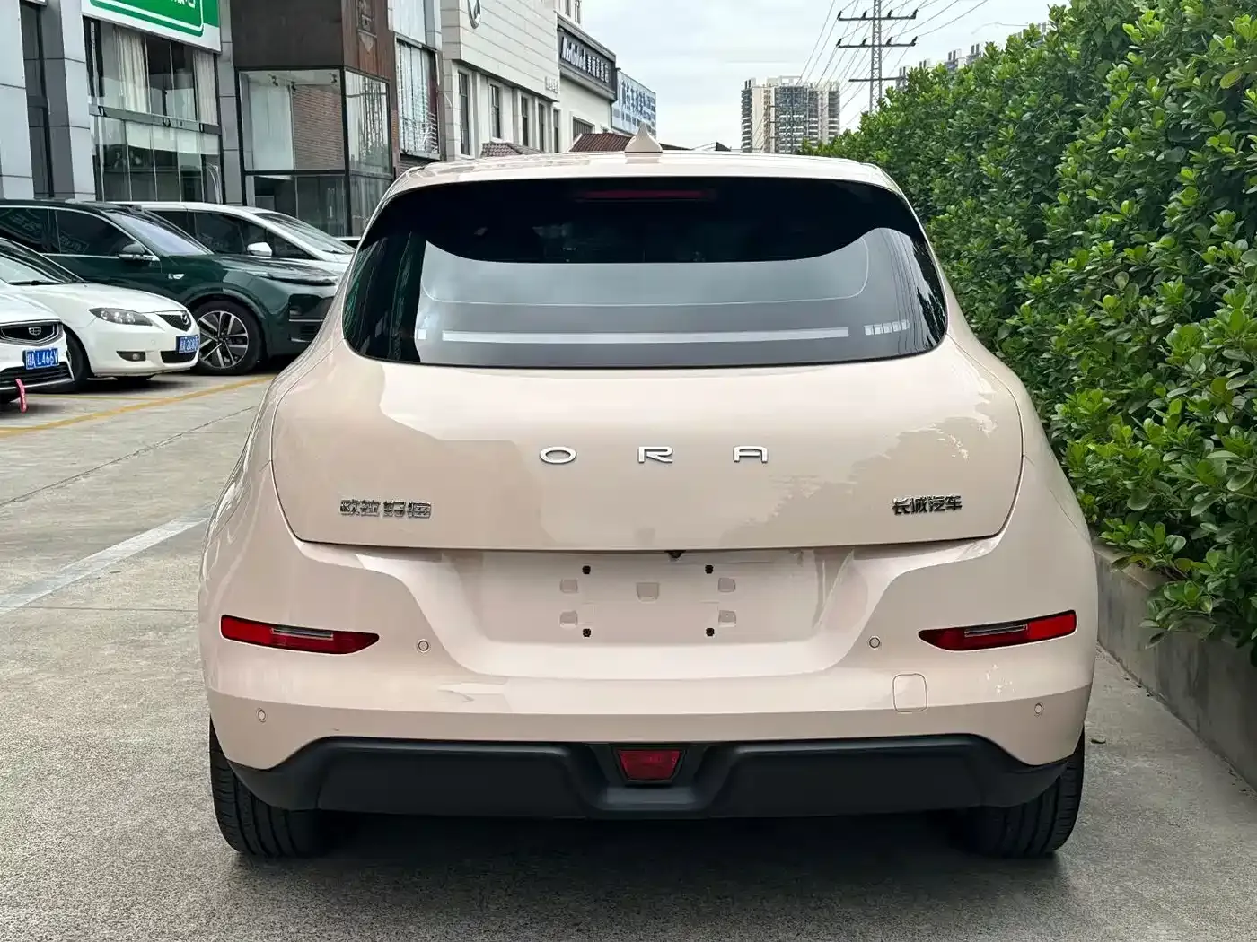 ORA Good Cat 401km Standard Range Luxury LFP 2023 — фото 8