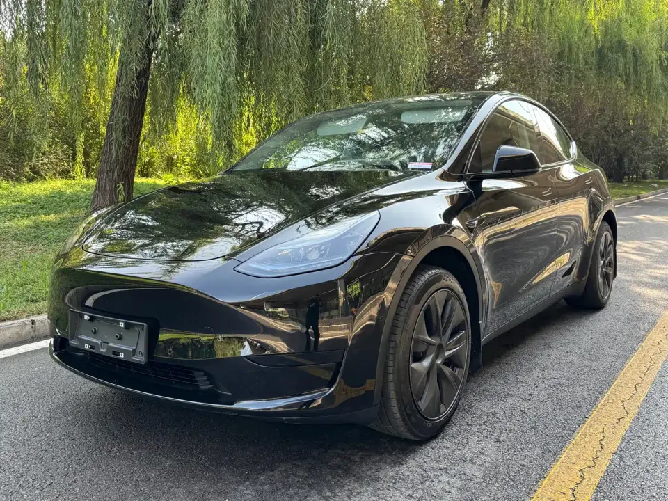 Tesla Model Y Rear-Wheel Drive Version 2024