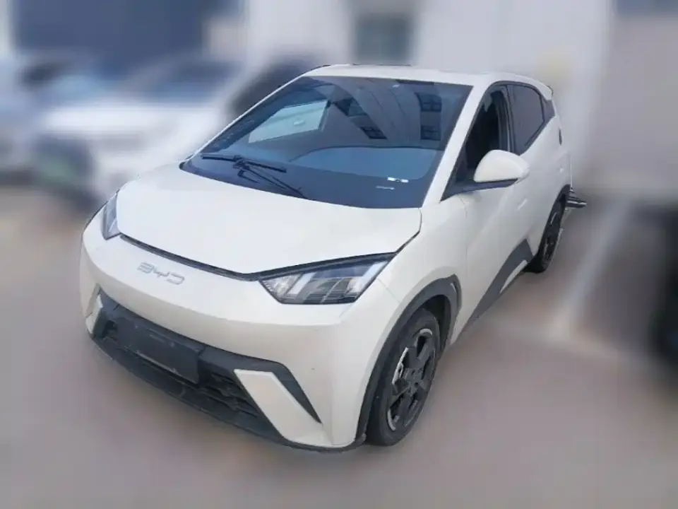 BYD Seagull Flying Edition 2023