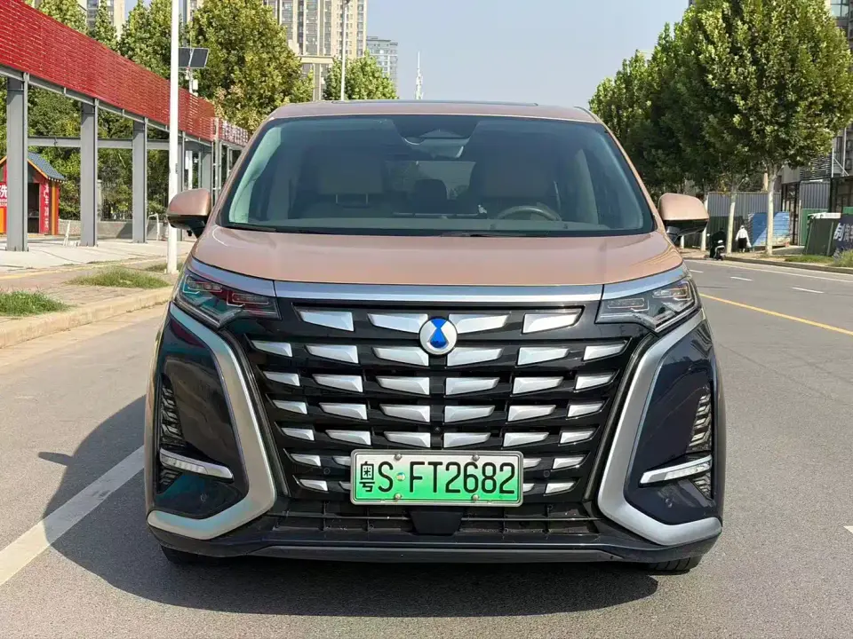 Denza D9 DM-i 970 All-Wheel Drive Honor Edition 2023