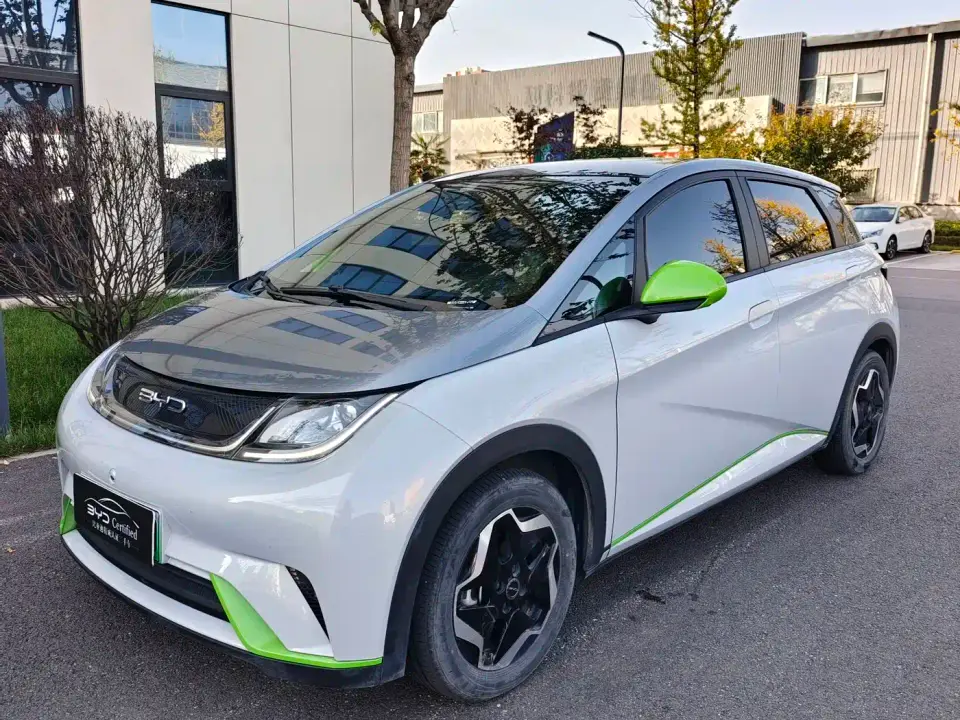 BYD Dolphin Model 405km Fashion Edition 2022