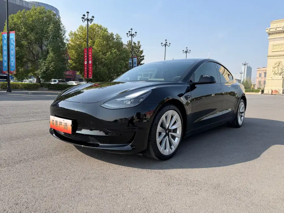 Tesla Model 3 Standard Range Rear-Wheel Drive Upgrade 3D6 2022