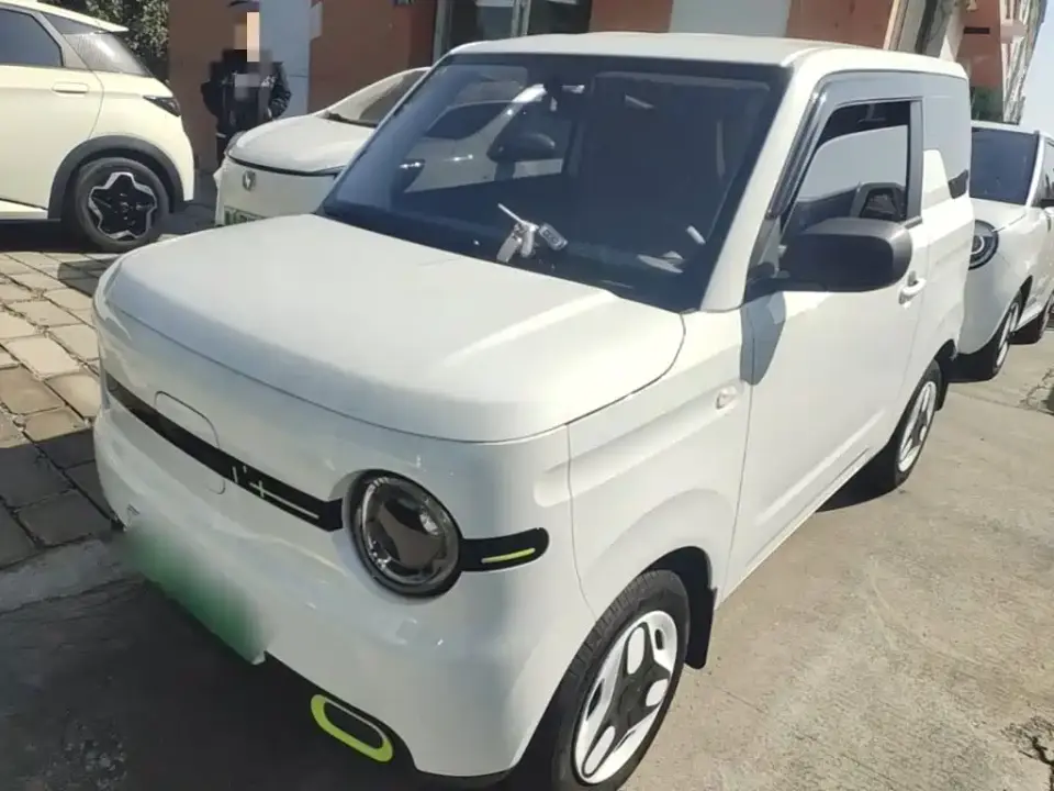 Geely Galaxy Panda Panda mini 210km Vitality Bear 2025