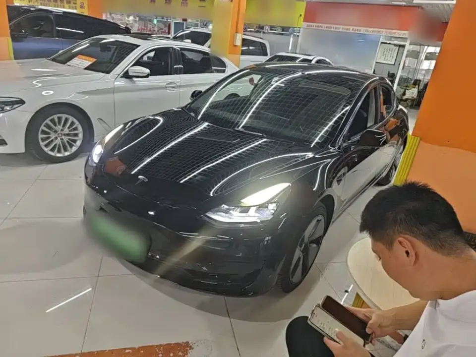 Tesla Model 3 Model Rear-Wheel Drive Version 2022