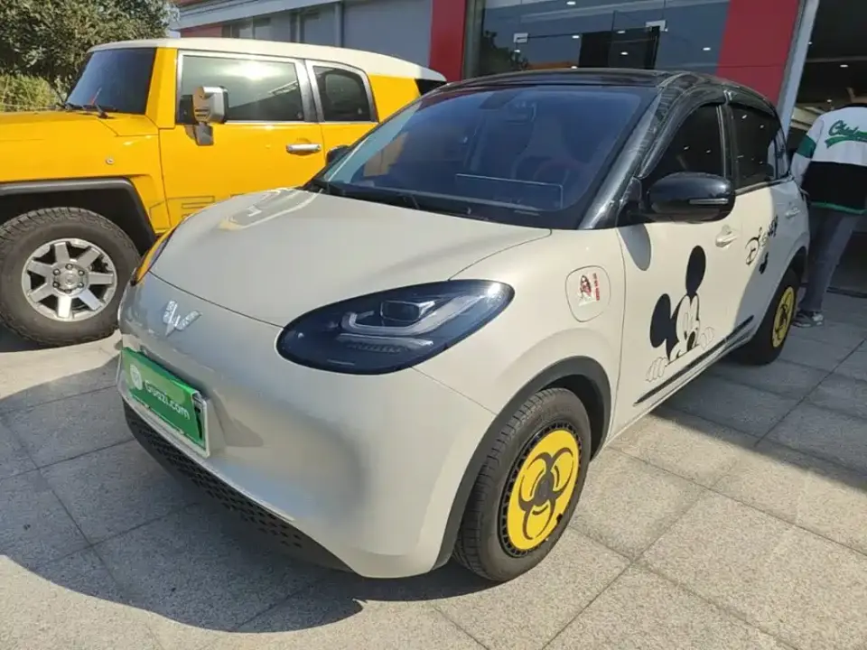Wuling Motors Wuling Bingo Model 333km Joy Edition 2026