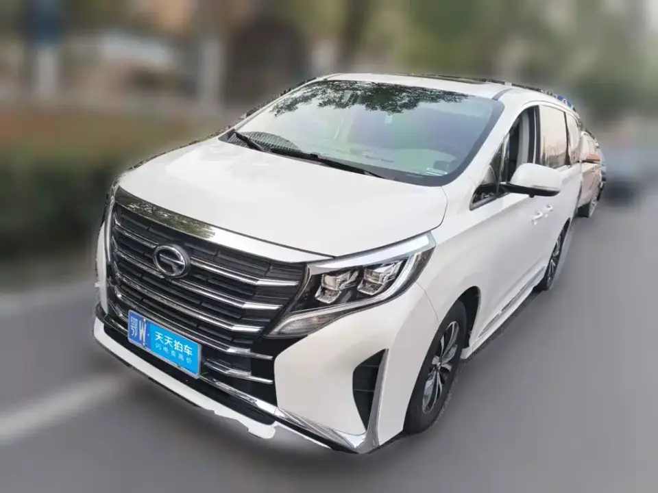 GAC Trumpchi M8 Leadershow Series 390T Luxury Edition 2024