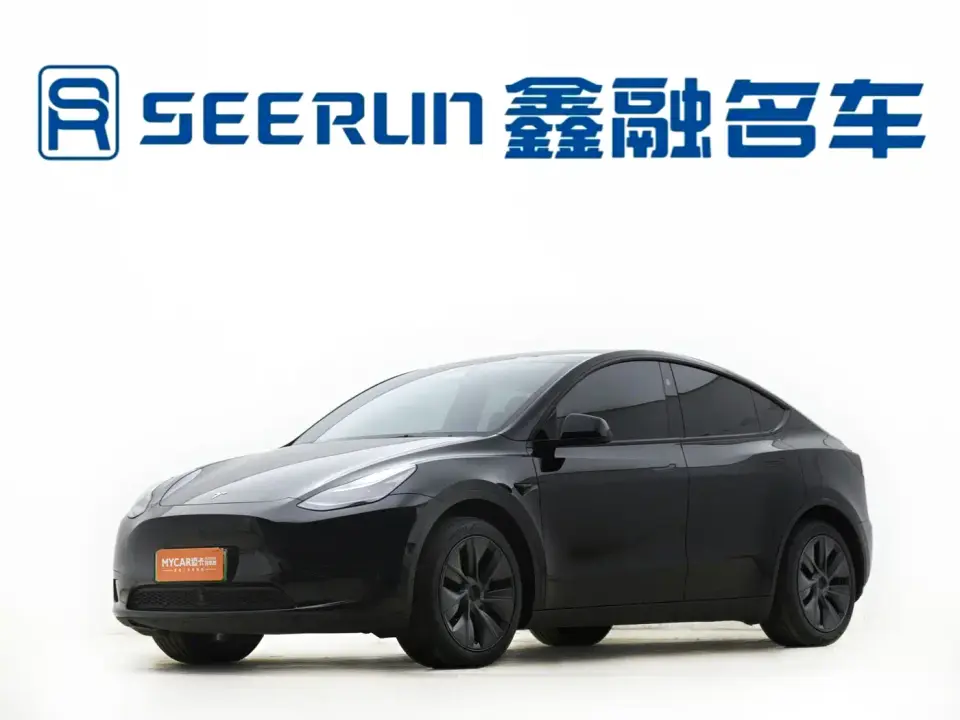 Tesla Model Y Rear-Wheel Drive Version 2024