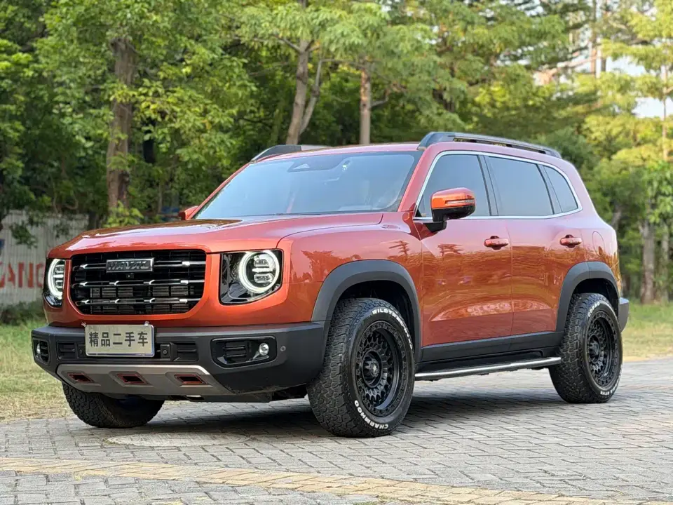 Haval Big Dog 1.5T DCT 2WD Border Collie - Wangcai Edition 2021