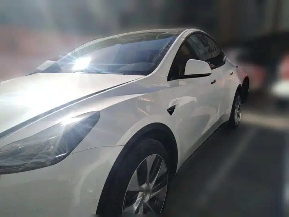 Tesla Model Y Rear-Wheel Drive Version 2022