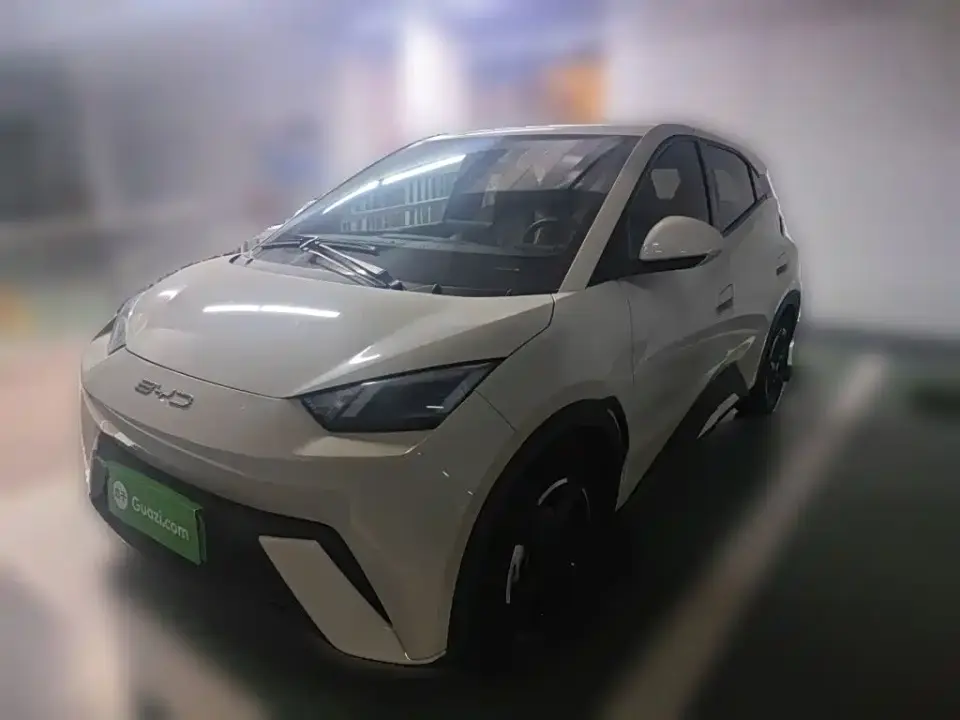 BYD Seagull Flying Edition 2023