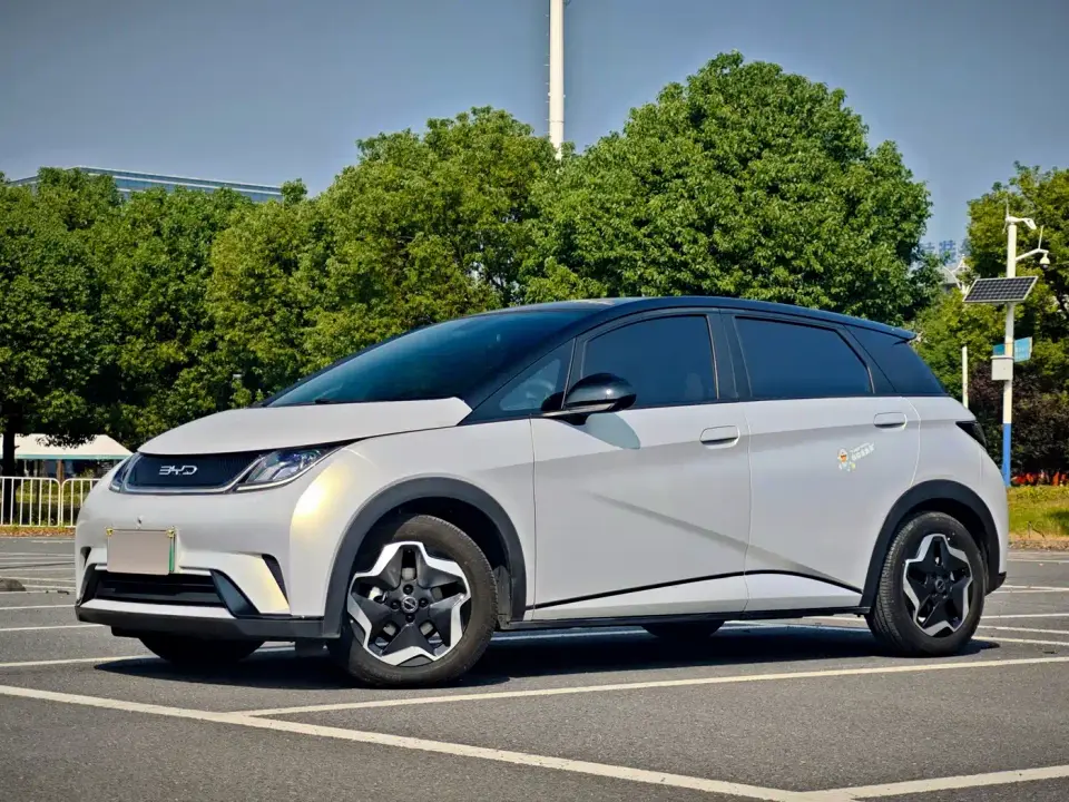 BYD Dolphin Model 405km Fashion Edition 2022