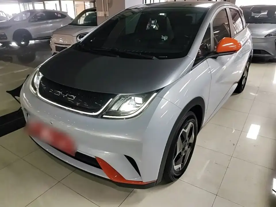 BYD Dolphin Model 405km Fashion Edition 2021