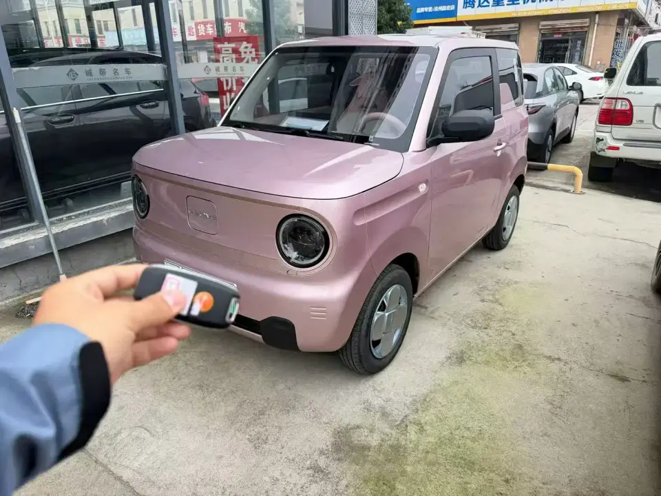 Geely Galaxy Panda Panda mini 210km Vitality Bear 2025