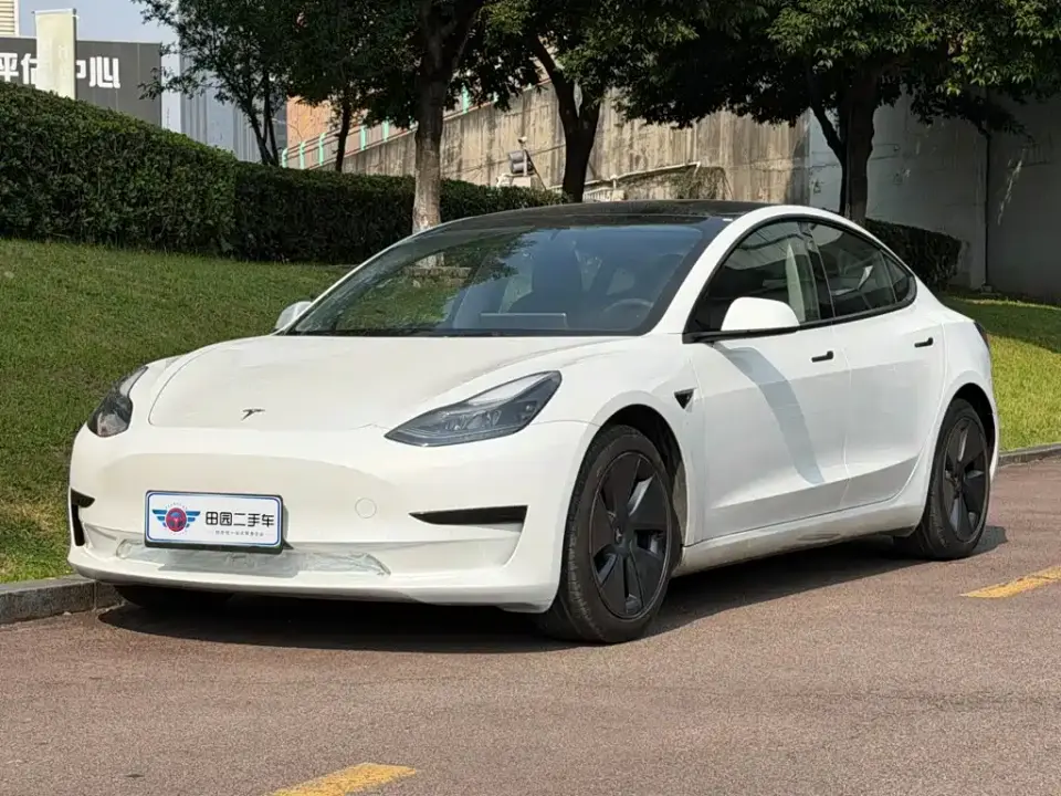 Tesla Model 3 Facelift Standard Range RWD Upgrade 3D1 2021