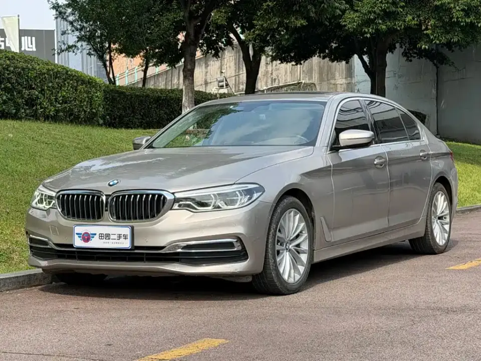 BMW 5 Series 530Li Leading Luxury Package 2020