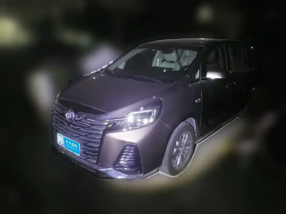Buick GL8 Model Land Business Class Comfort 2023