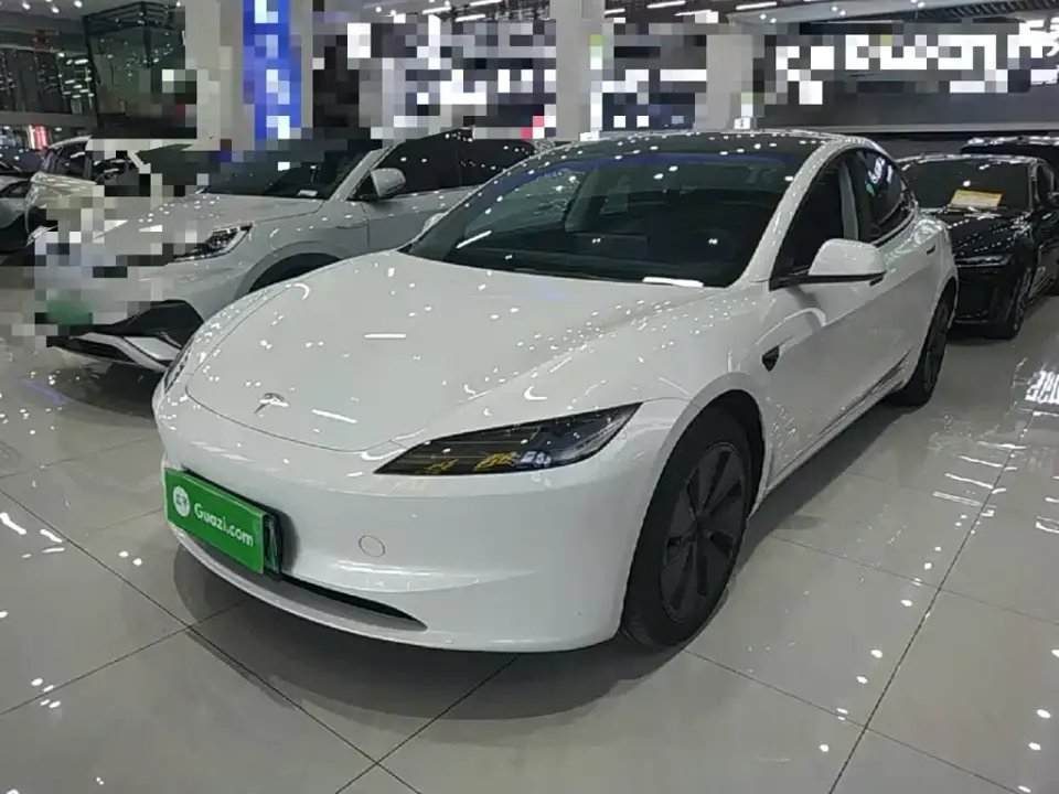 Tesla Model 3 Model Rear-Wheel Drive Edition 2025