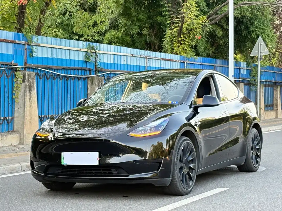 Tesla Model Y Rear-Wheel Drive Version 2022