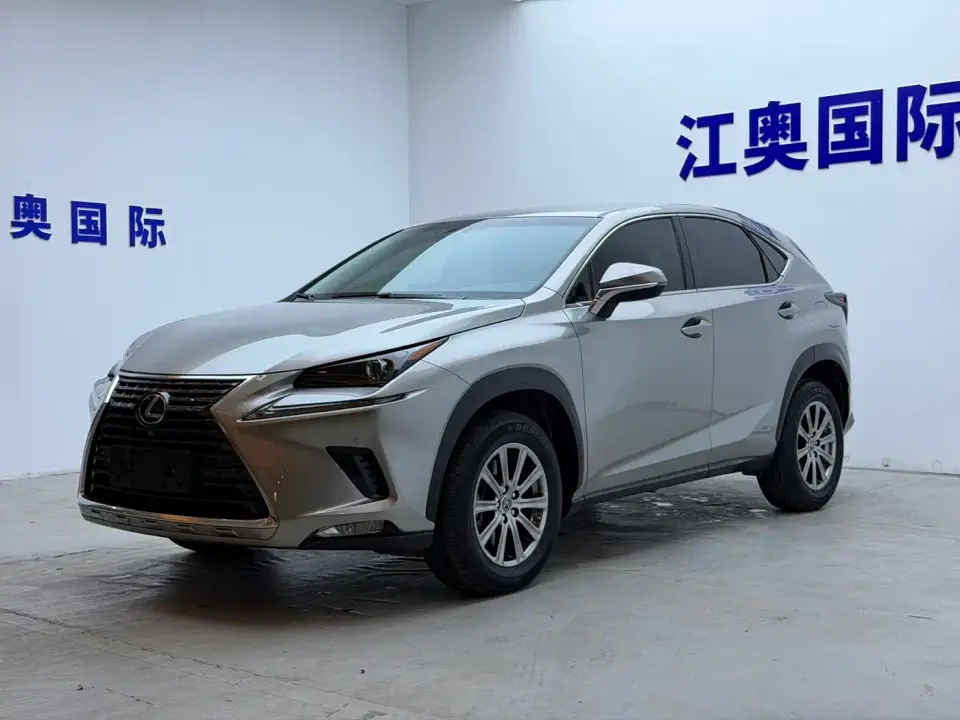 Lexus NX Model 200 FWD Fengxing Edition China V 2020