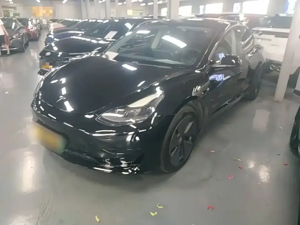 Tesla Model 3 Standard Range Rear-Wheel Drive Upgrade 2021
