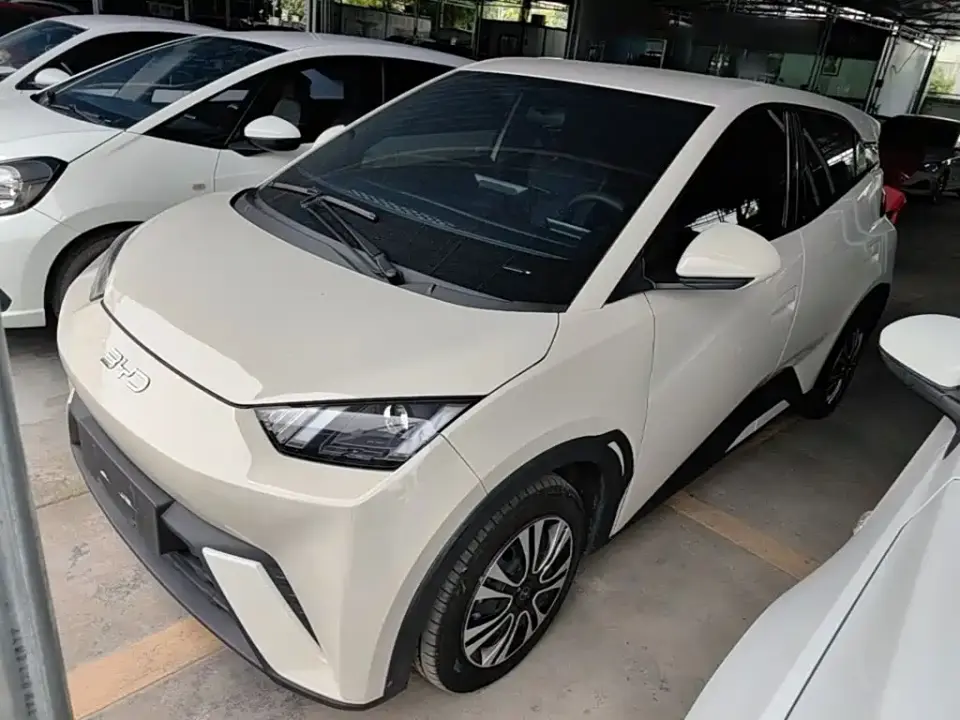 BYD Seagull 305km Freedom 2025