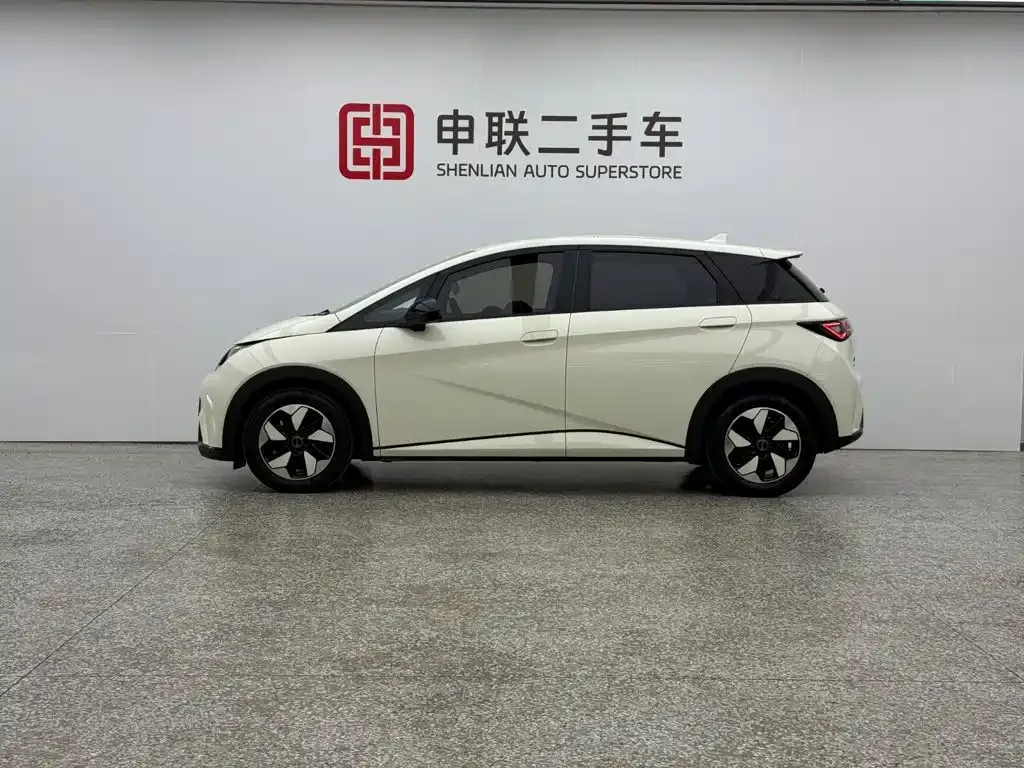 BYD Dolphin 420km Freedom Edition 2024 — фото 3