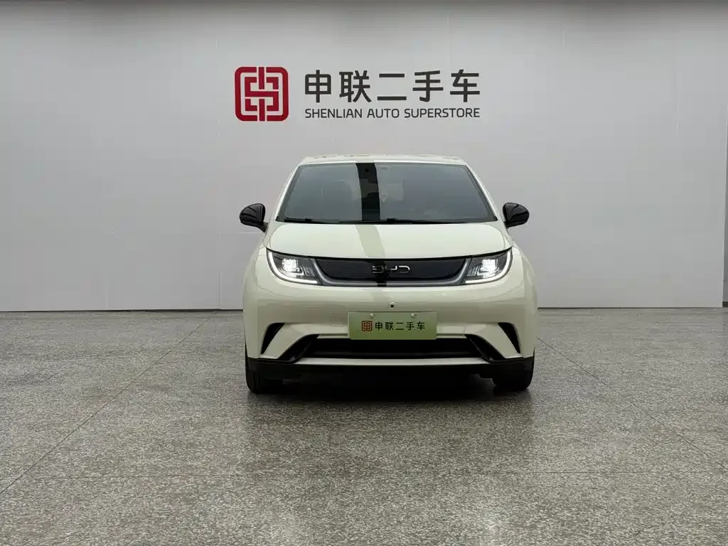 BYD Dolphin 420km Freedom Edition 2024 — фото 5
