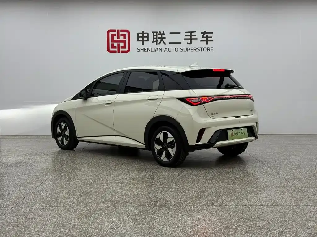 BYD Dolphin 420km Freedom Edition 2024 — фото 2