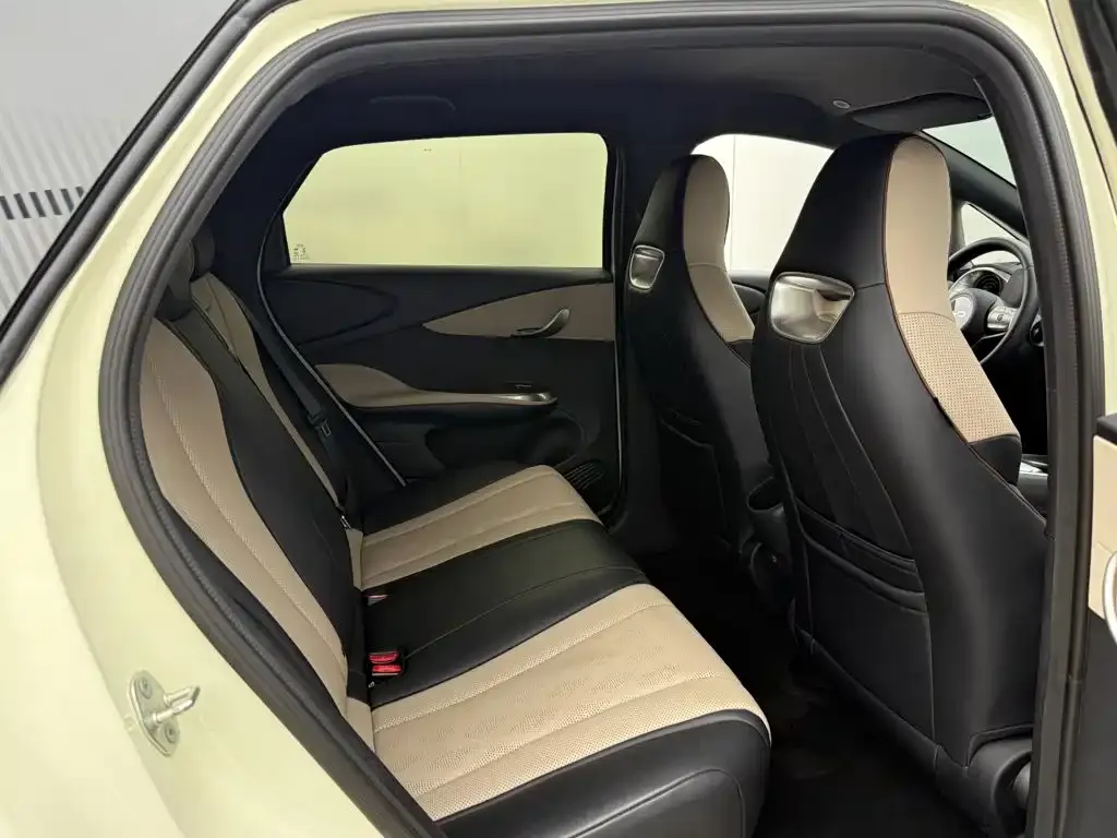 BYD Dolphin 420km Freedom Edition 2024 — фото 16