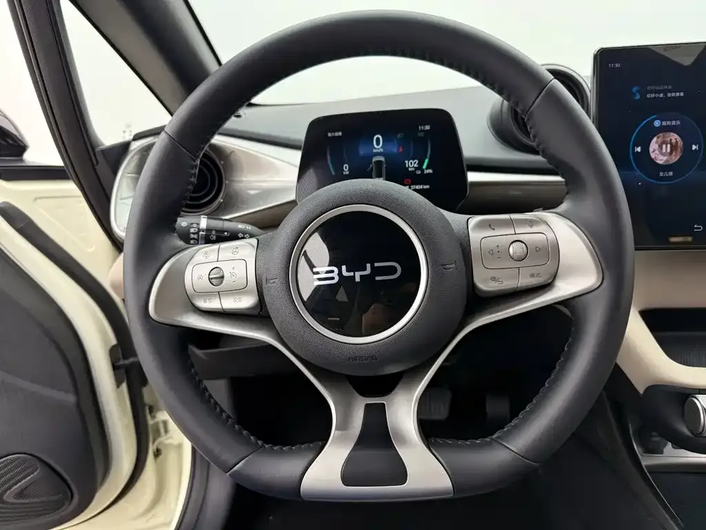 BYD Dolphin 420km Freedom Edition 2024 — фото 11