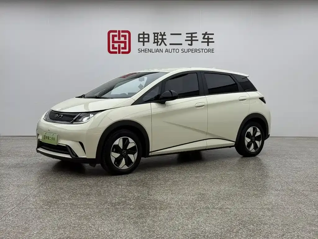 BYD Dolphin 420km Freedom Edition 2024