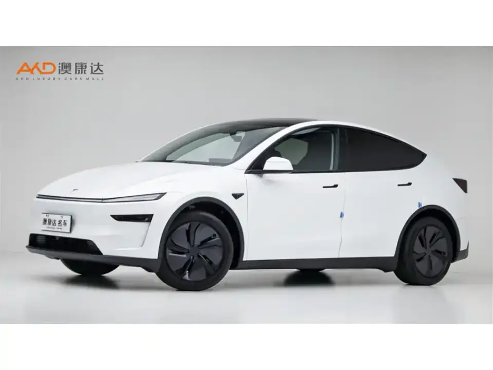 Tesla Model Y Long Range All-Wheel Drive 2025