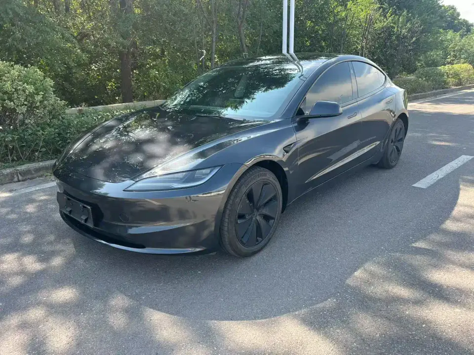 Tesla Model 3 Model Rear-Wheel Drive Edition 2025