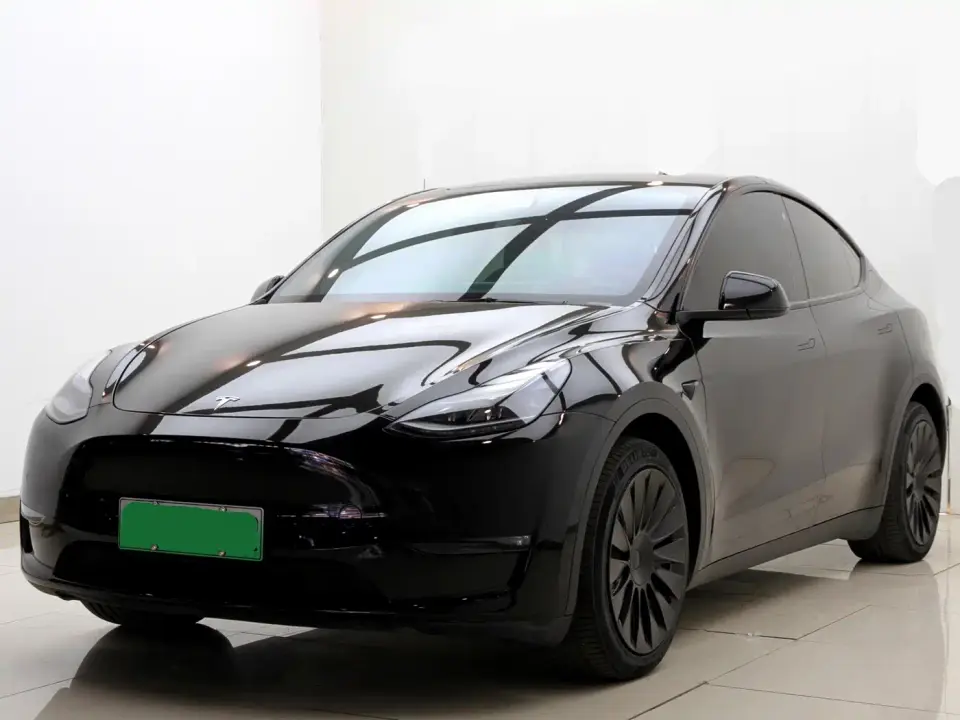 Tesla Model Y Standard Range Rear-Wheel Drive 2021