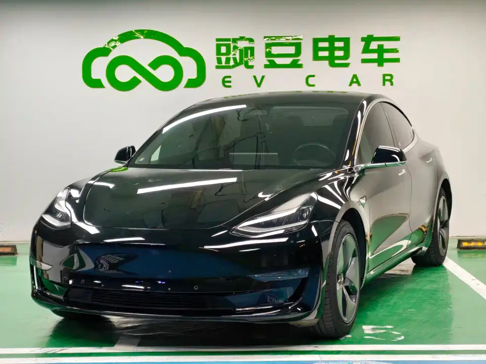 Tesla Model 3 (Import) Long Range RWD Version 2019