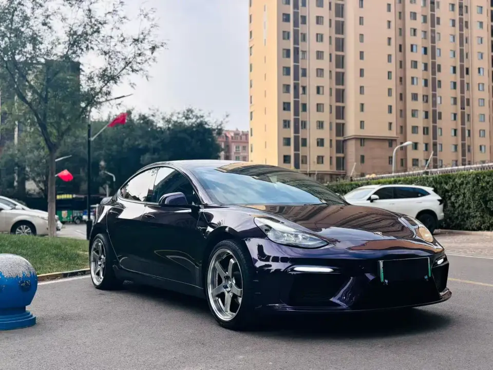 Tesla Model 3 Standard Range Rear-Wheel Drive Upgrade 3D6 2021