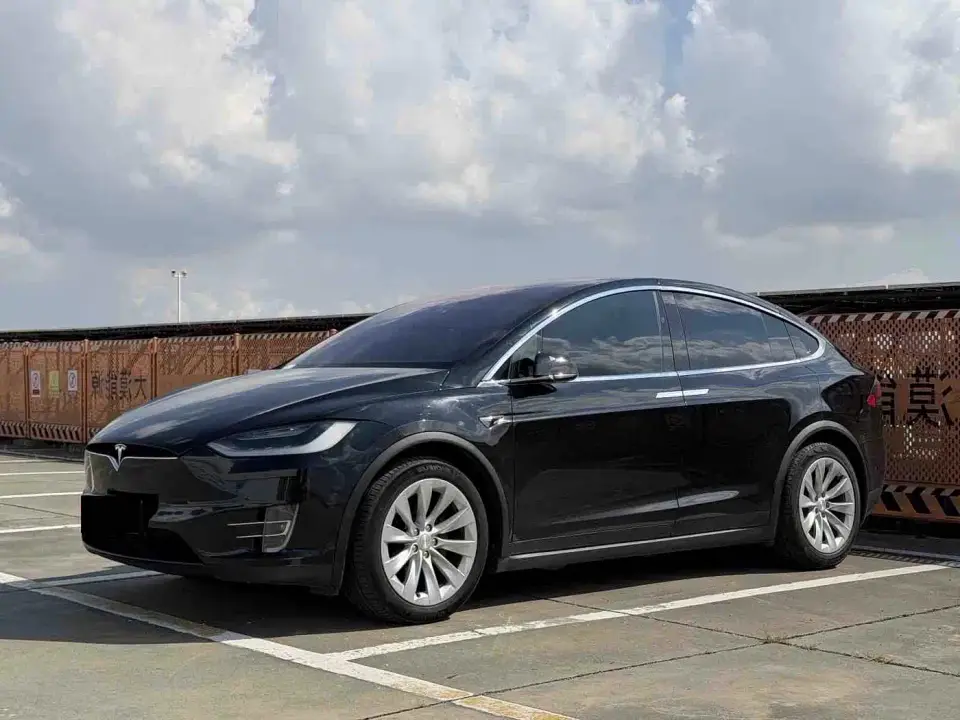 Tesla Model X Model X 100D Long Range 2019