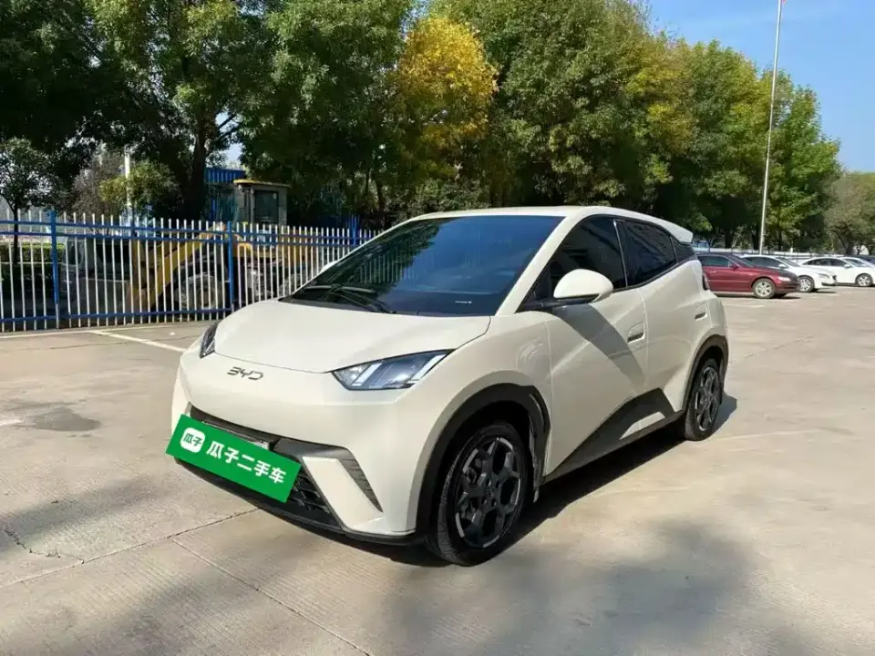 BYD Seagull 305km Freedom 2024