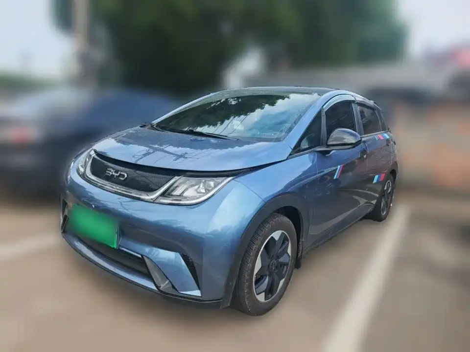 BYD Dolphin Glory Edition 420km Freedom Edition 2024