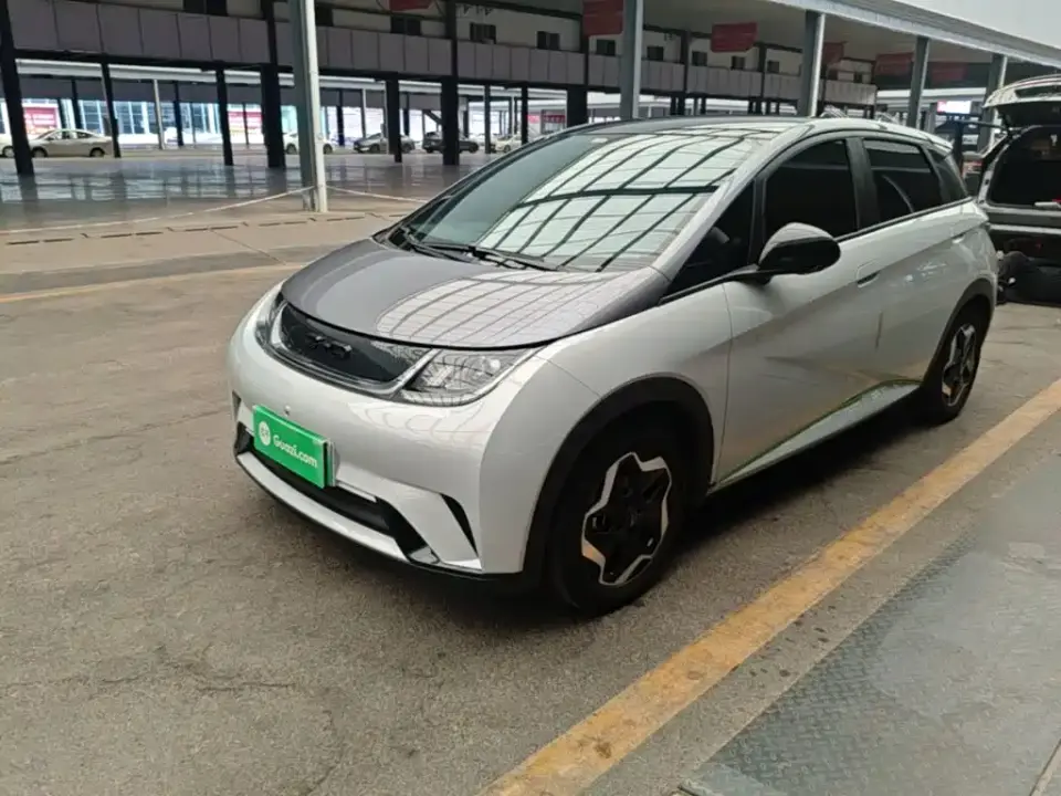 BYD Dolphin Model 405km Fashion Edition 2022